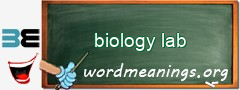 WordMeaning blackboard for biology lab